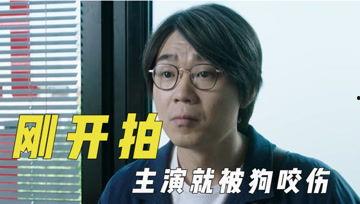 娱乐吃瓜君的视频,视频内容大起底，热点事件深度剖析